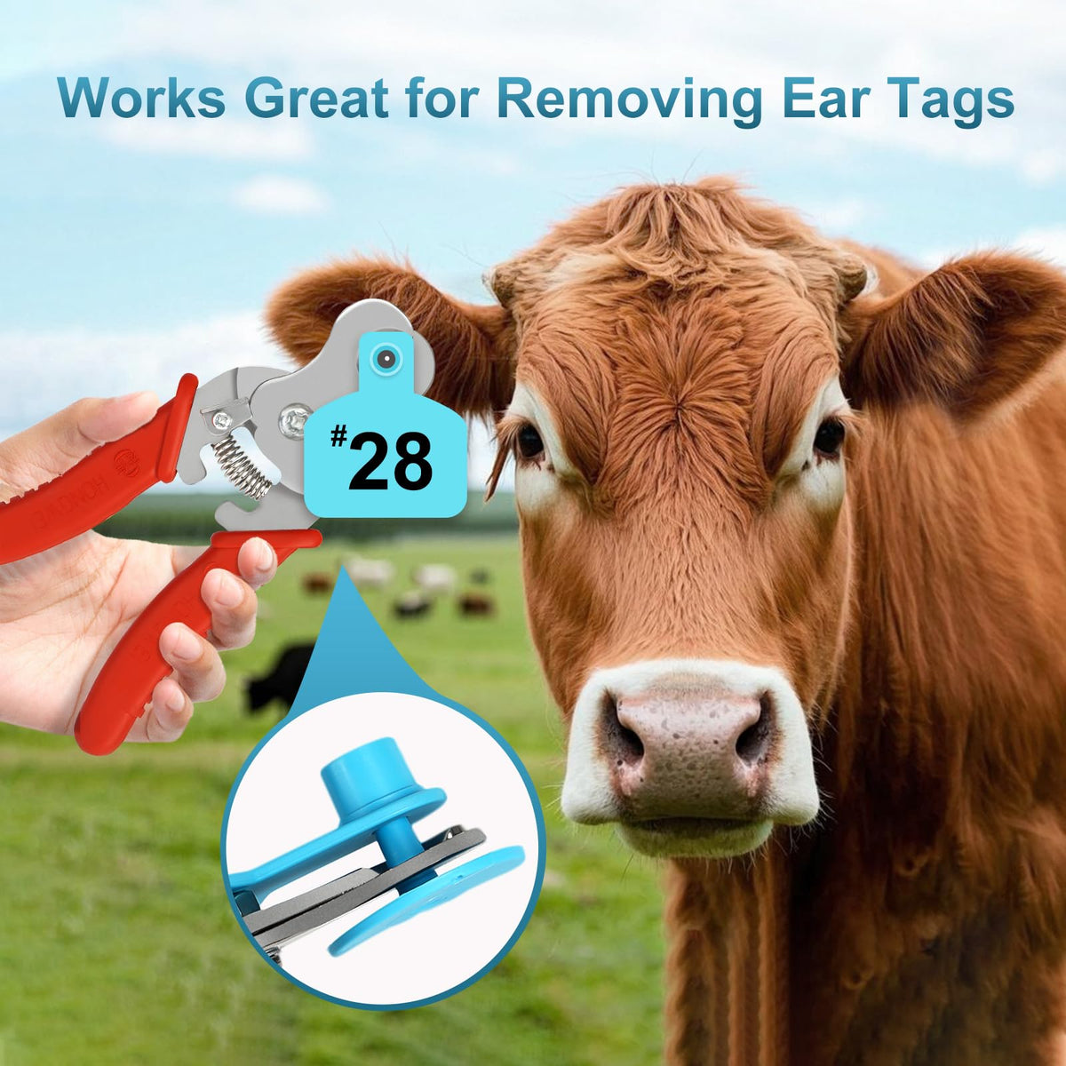 MUDUOBAN buckle-switch design ear tag remover for easy storage