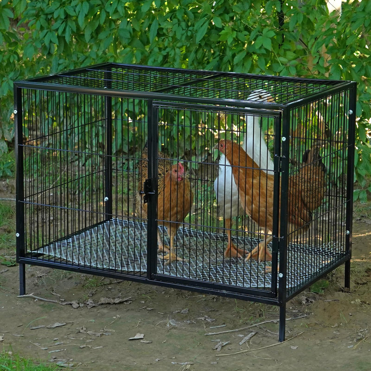 MUDUOBAN coop top door opening supports easy access for feeding