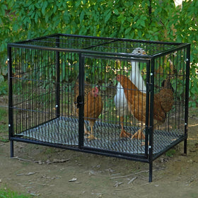 MUDUOBAN coop top door opening supports easy access for feeding