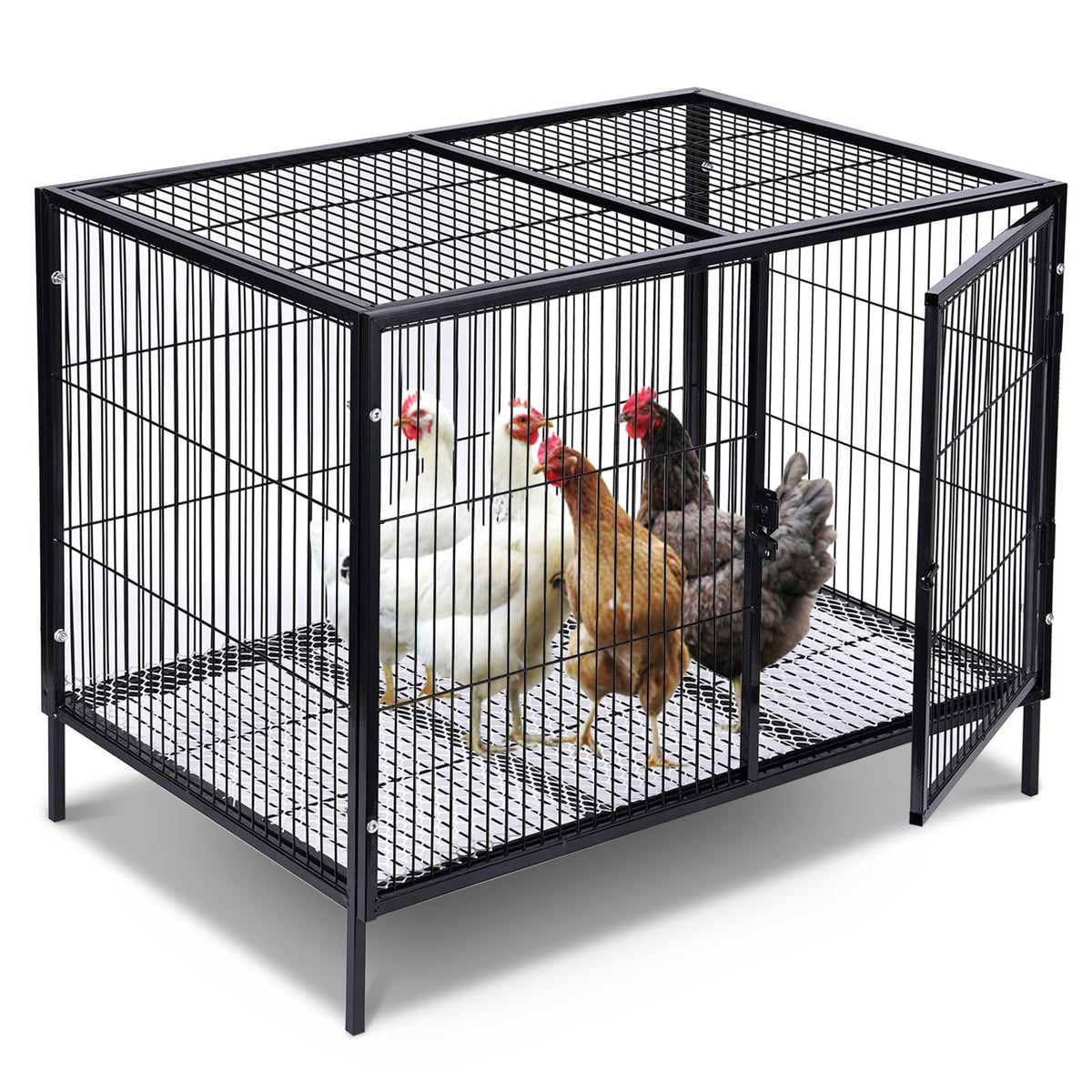 MUDUOBAN metal chicken cage front view for secure 4-6 chickens