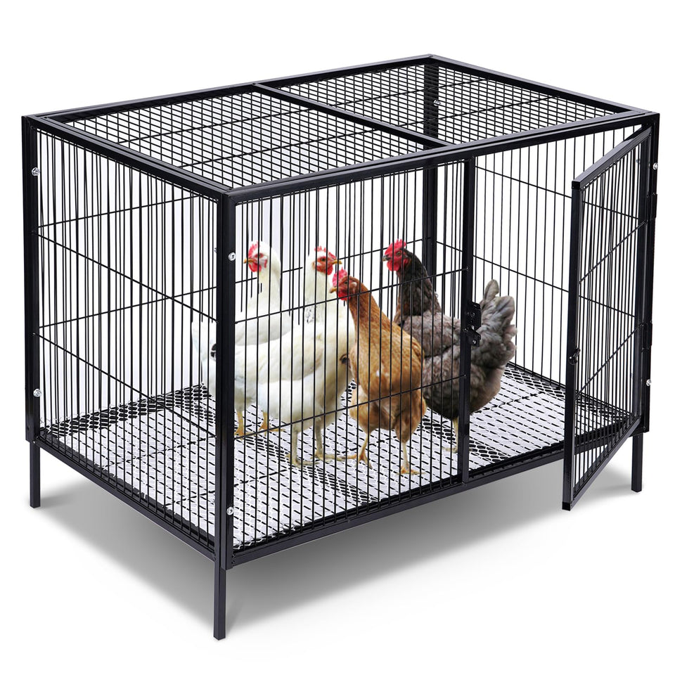 MUDUOBAN metal chicken cage front view for secure 4-6 chickens