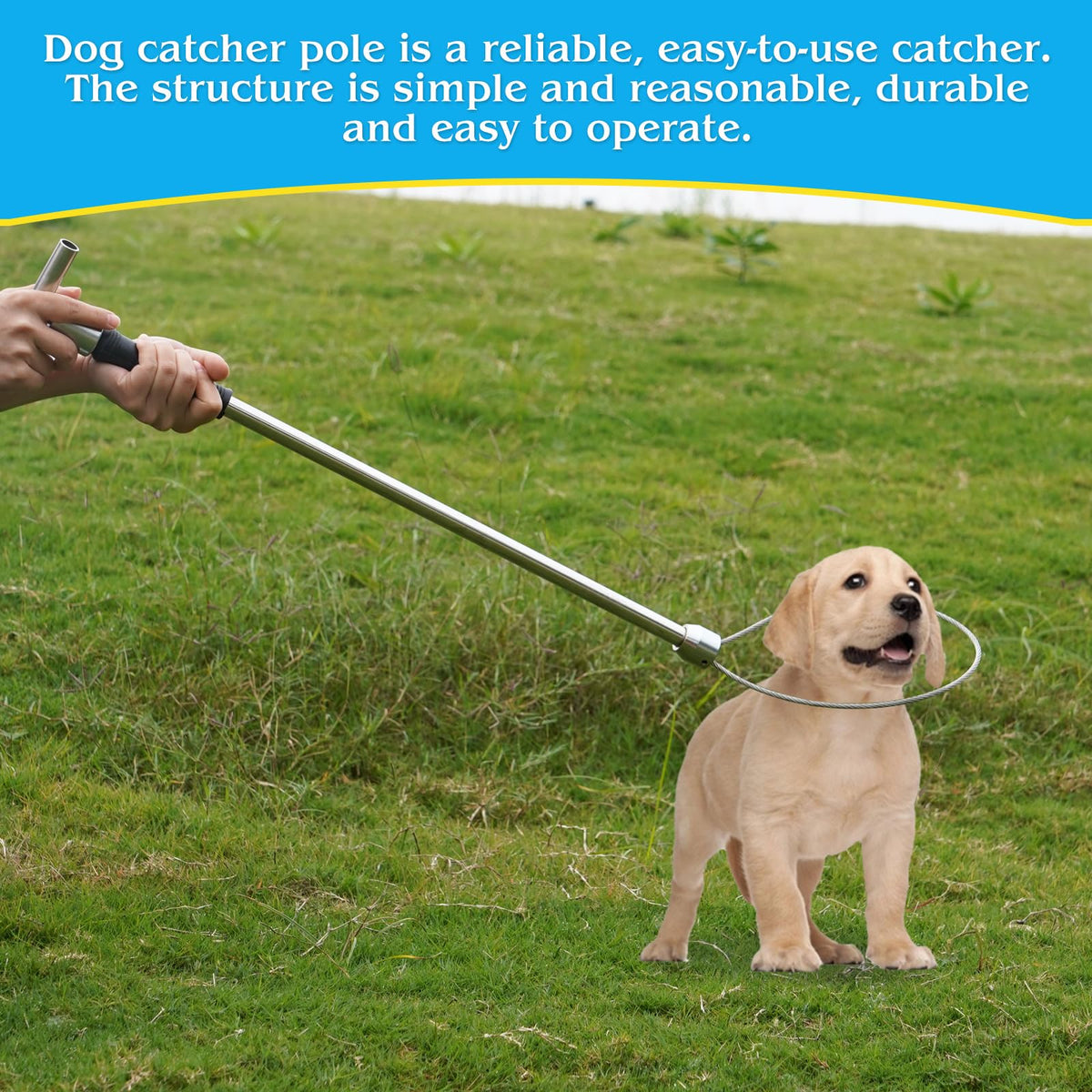 MUDUOBAN safe, efficient tool for securing wildlife in practice.
