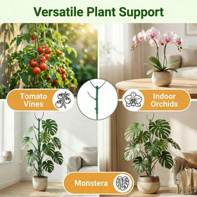 Mufew small-to-medium plant support suits Monstera, orchids, and tomatoes.