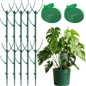 Mufew stackable Monstera stake offers adjustable support for climbing indoor plants.