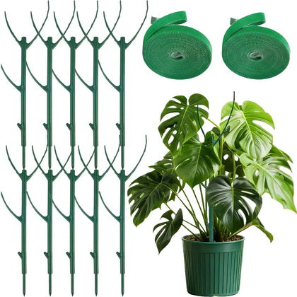 Mufew stackable Monstera stake offers adjustable support for climbing indoor plants.