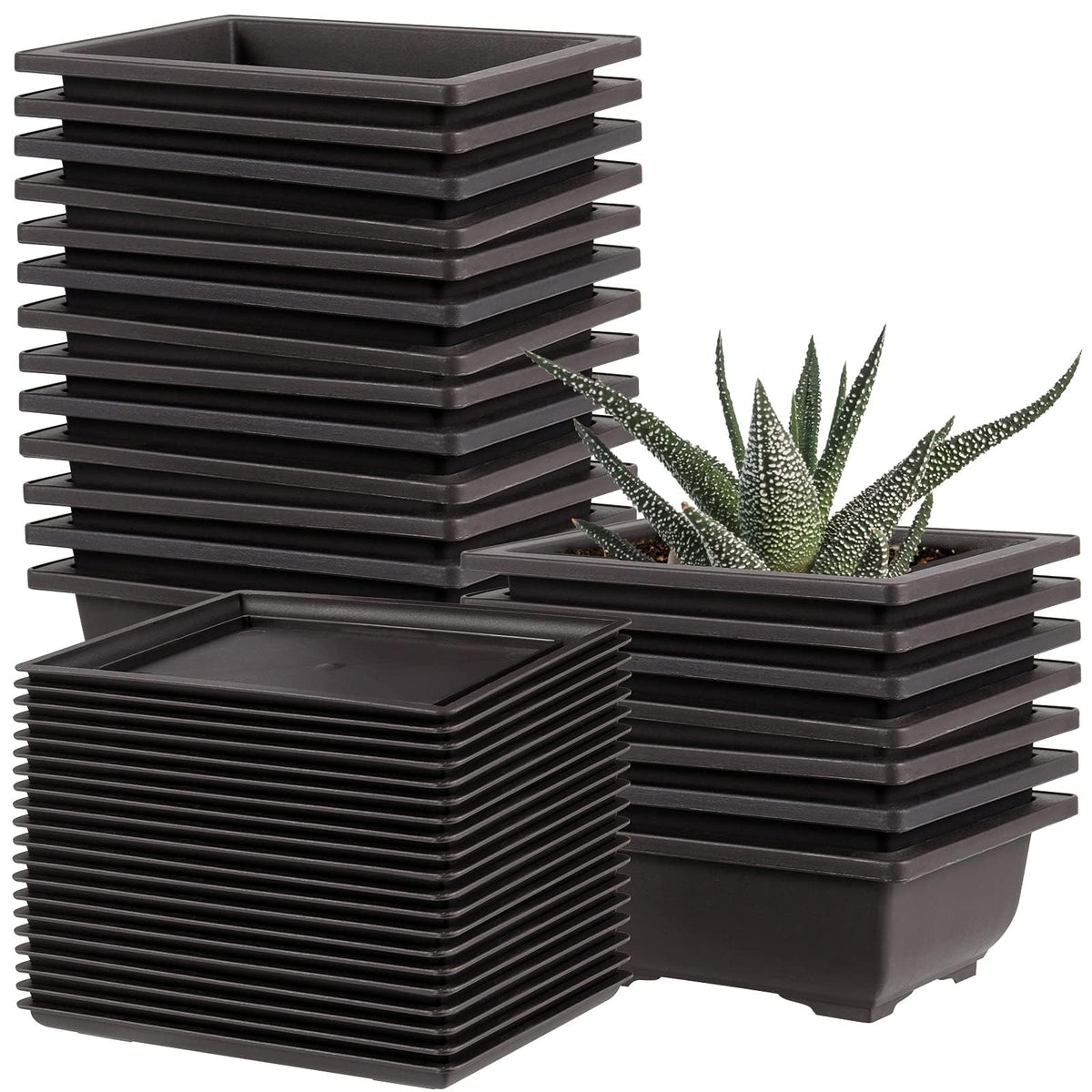 MUKCHAP 20-pack bonsai pots with trays for drainage and mess-free placement.