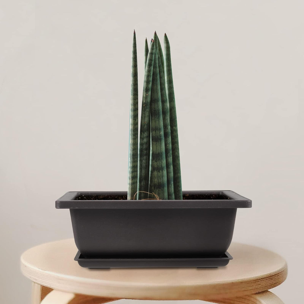 MUKCHAP bonsai pots in use with succulents on a balcony.