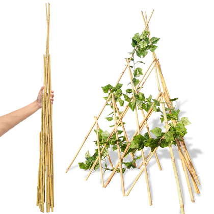 Mulctun 6ft expandable bamboo teepee trellis supports climbing plants outdoors.