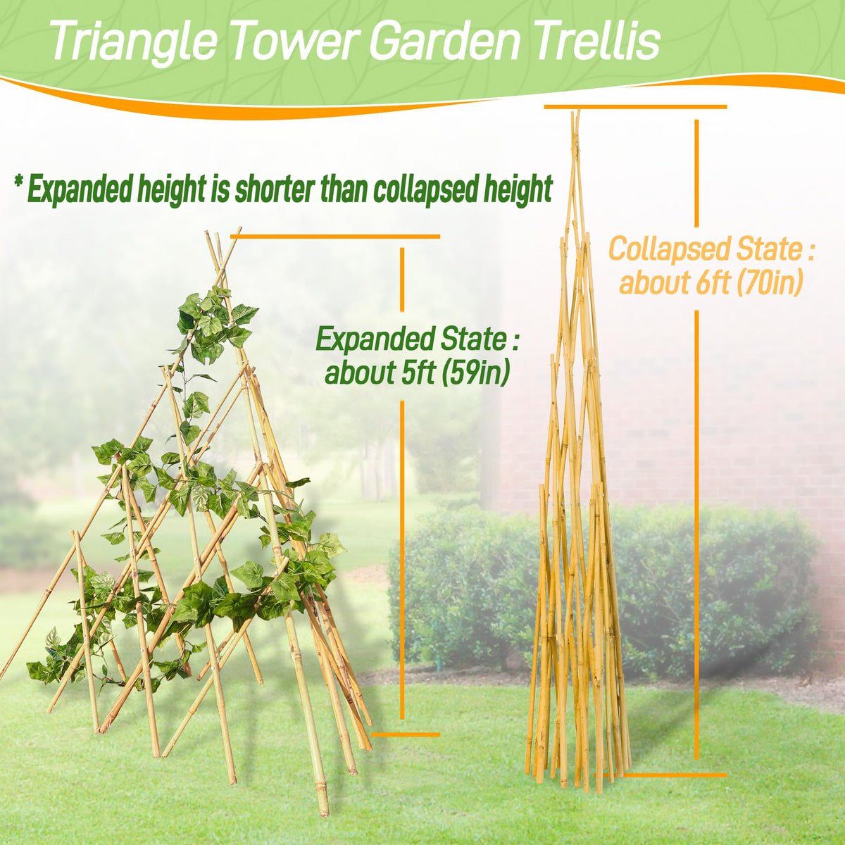 Mulctun conical bamboo design enhances garden charm while guiding growth.
