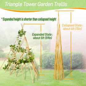 Mulctun conical bamboo design enhances garden charm while guiding growth.