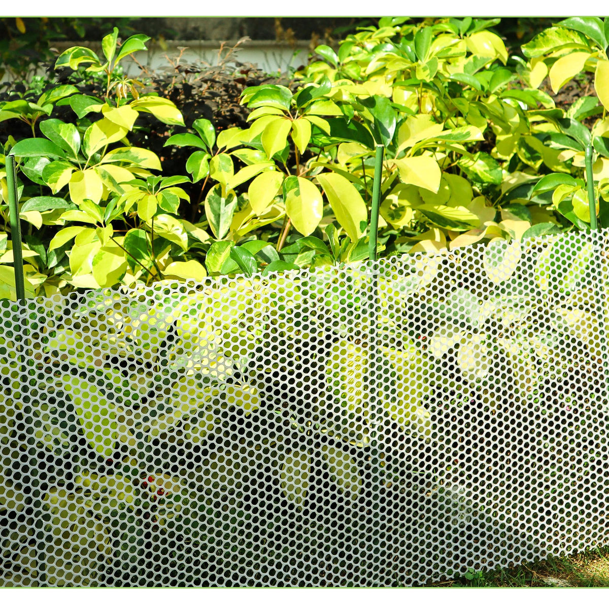 Mulctun eco-friendly durable stakes provide long-lasting garden organization.