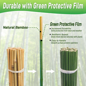 Mulctun bamboo stake with green-film protective coating for outdoor durability.
