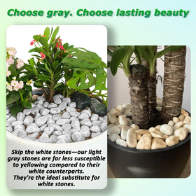 Mulctun grey river rocks with a matte finish enhance garden aesthetics.
