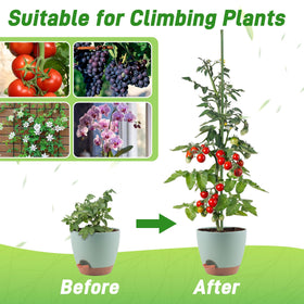 Mulctun indoor-outdoor plant supports suit home gardens.