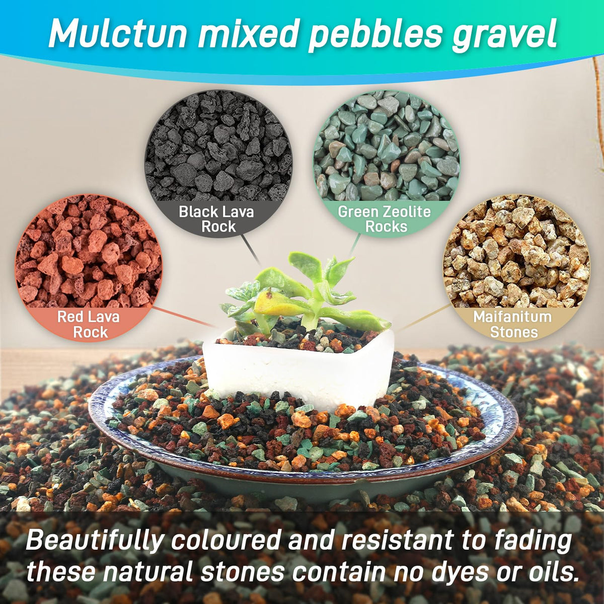 Mulctun lava rock for succulents top dressing adds color and excellent drainage