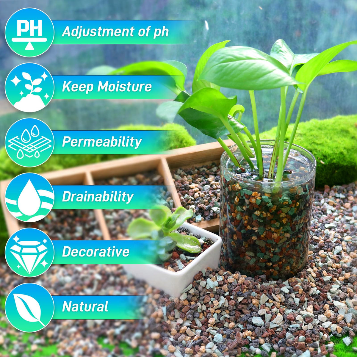 Mulctun lava rock terrarium fairy garden accent promotes drainage and vibrant micro-habitats