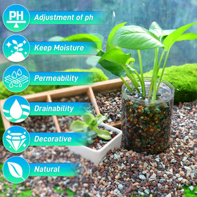 Mulctun lava rock terrarium fairy garden accent promotes drainage and vibrant micro-habitats