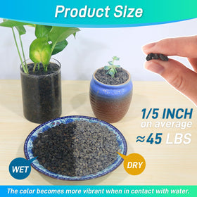 Mulctun lava rock top dressing use demonstrates decorative pot edging and drainage.