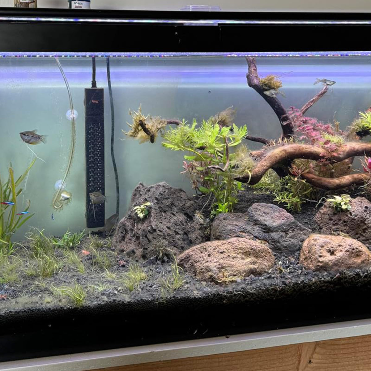 Mulctun lava rock wash before use guidance for best results.