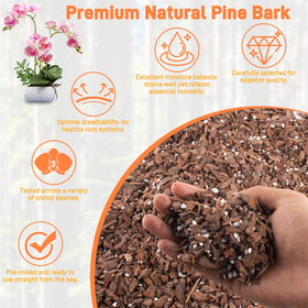Mulctun mix in plant pot illustrating easy repotting care.