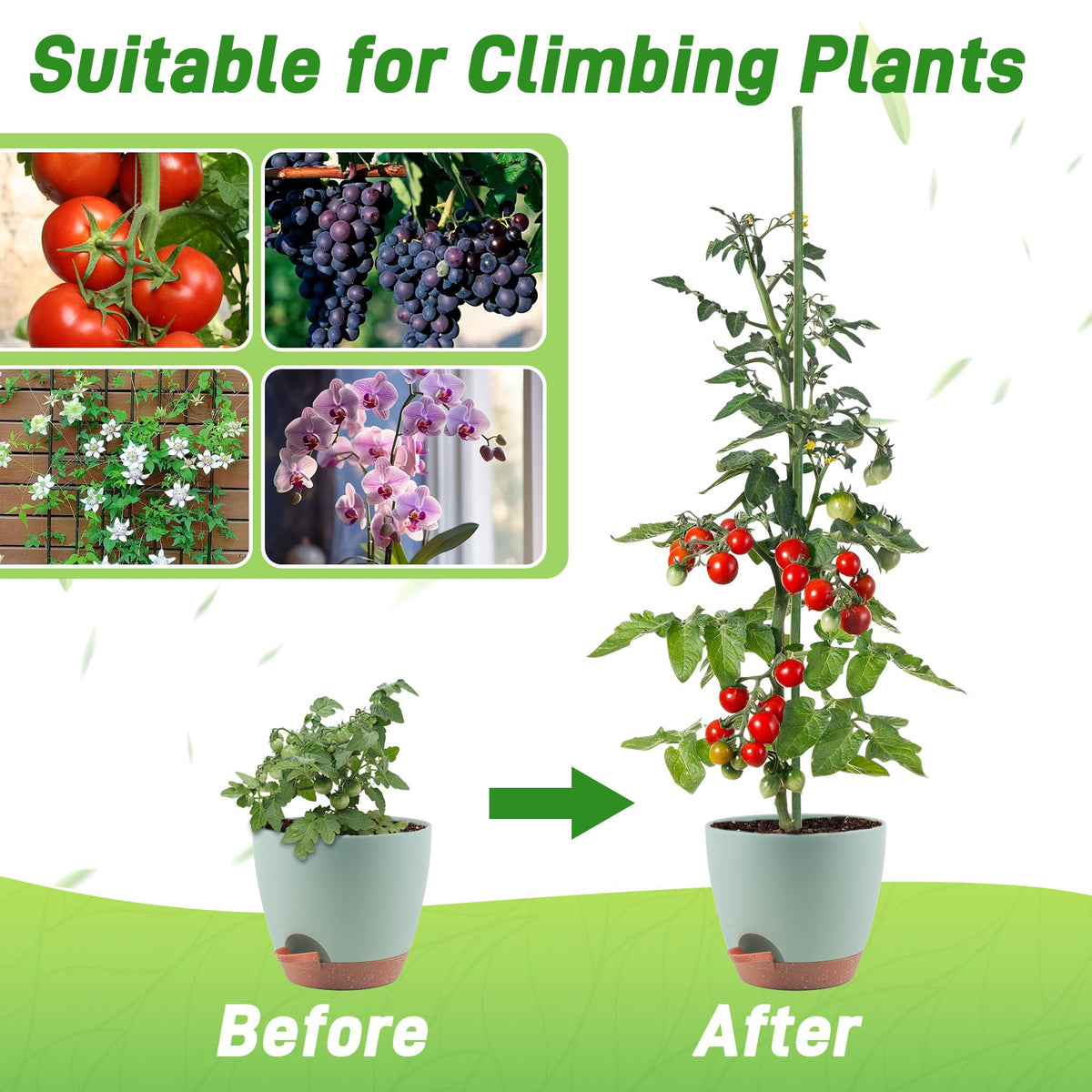 Mulctun quick installation for upright plant support