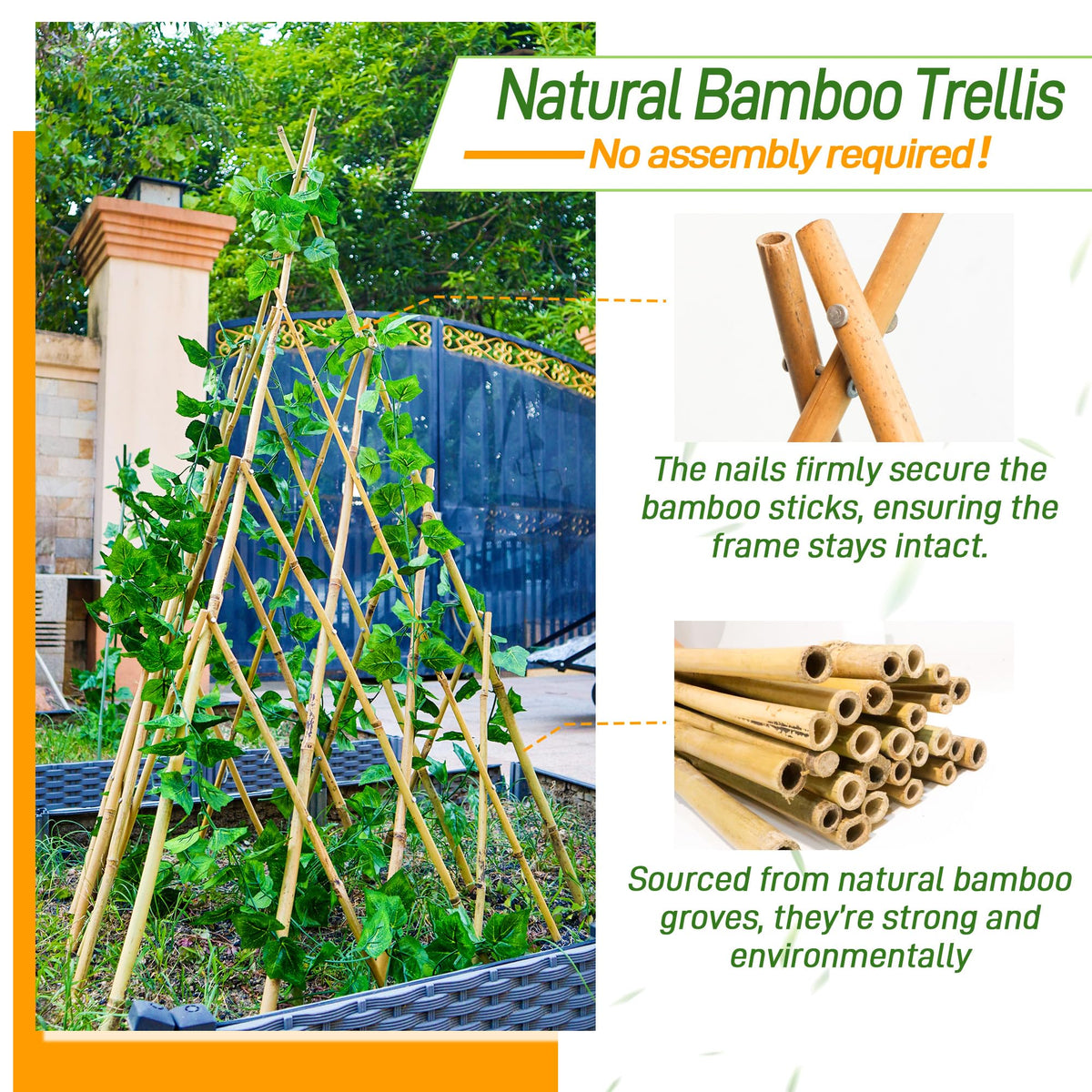 Mulctun self-standing bamboo teepee trellis adds sturdy garden support.