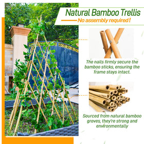 Mulctun self-standing bamboo teepee trellis adds sturdy garden support.