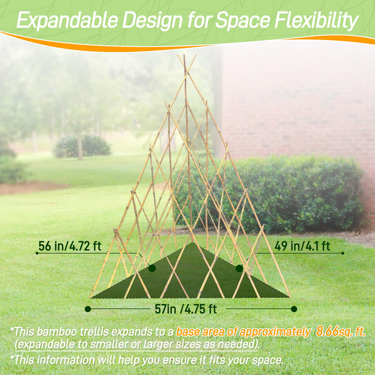 Mulctun sturdy triangular support stabilizes growth against wind.