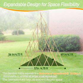 Mulctun sturdy triangular support stabilizes growth against wind.
