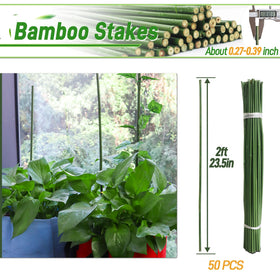 Mulctun weather-resistant bamboo stake stands up to sun and rain.