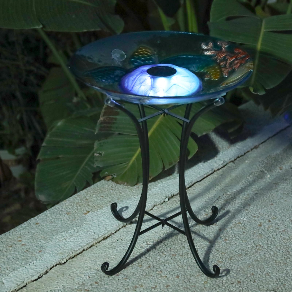 MUMTOP large 18-inch bowl elevates garden aesthetics and bird visitation