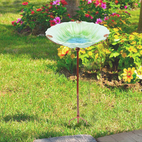 Bird resting by MUMTOP glass birdbath for a refreshing drink.