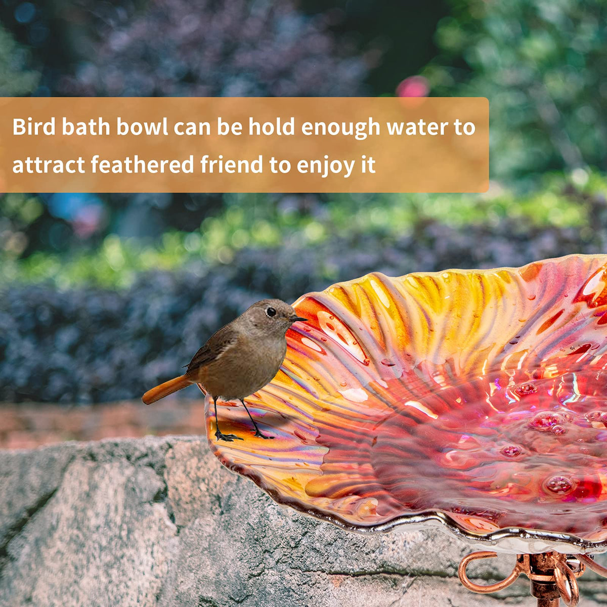 MUMTOP glass bowl with decorative pattern attracts birds by water view.