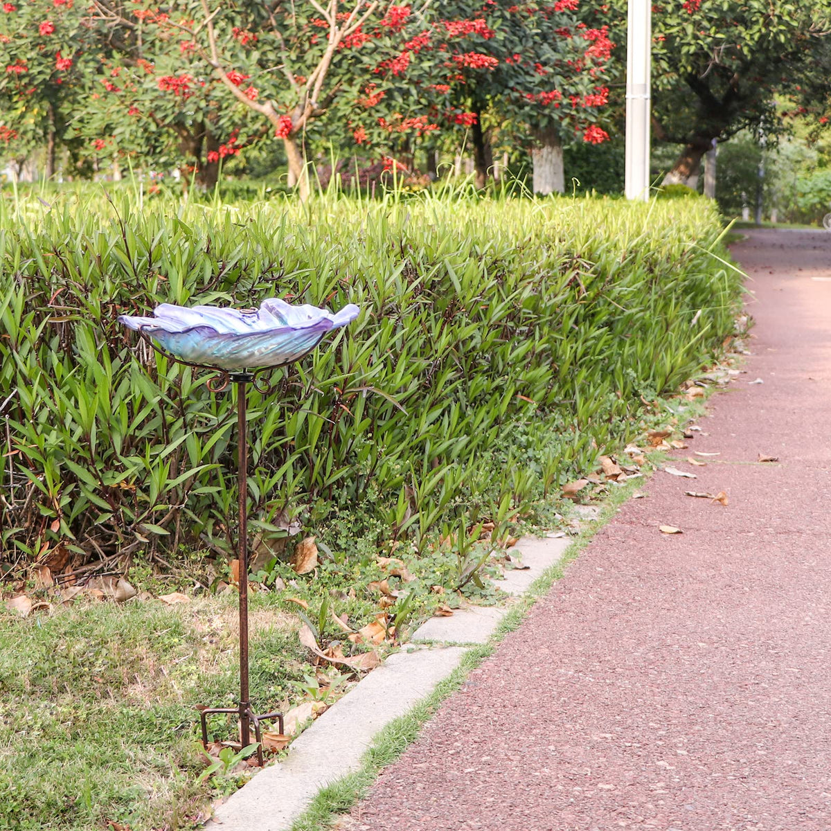 MUMTOP bird bath holding water or bird food to attract birds.
