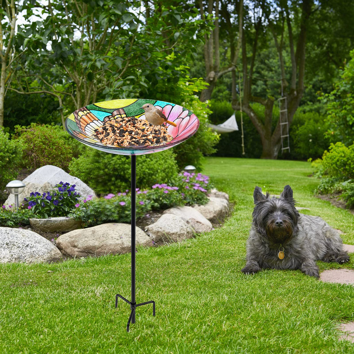 MUMTOP vibrant bird bath with bright colors invites birds to visit