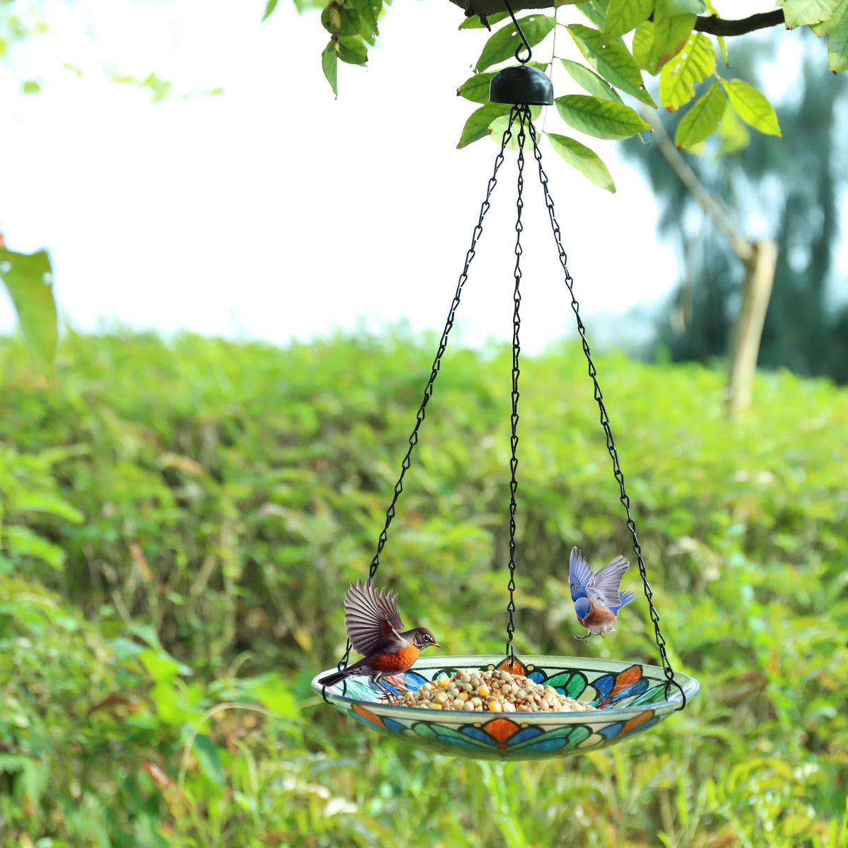 MUMTOP colorful garden decor that supports a lively bird habitat.