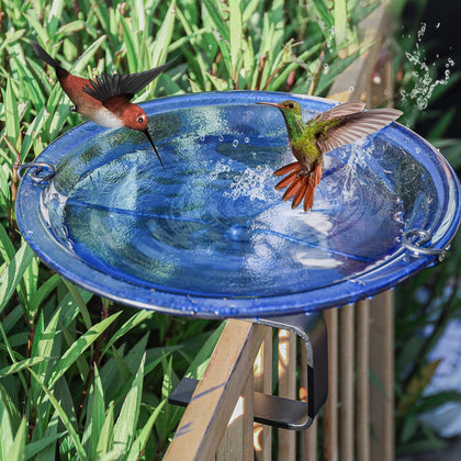 MUMTOP deck-mounted glass bowl birdbath on railing invites birds to visit