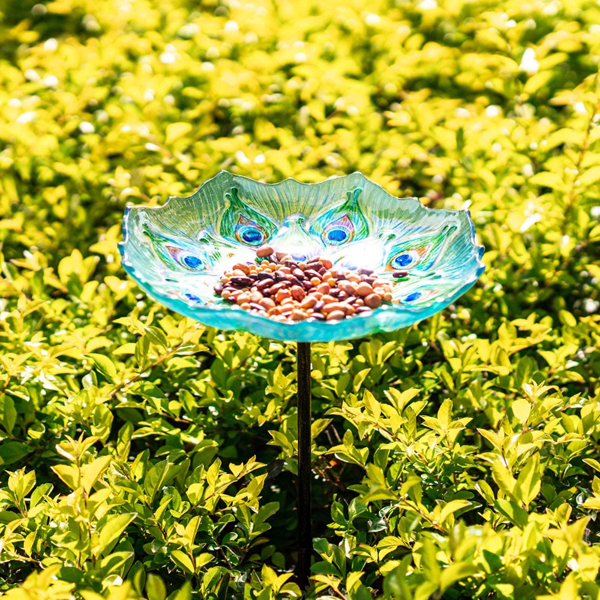 MUMTOP glass bird bath bowl holds water to invite birds to sip and bathe.