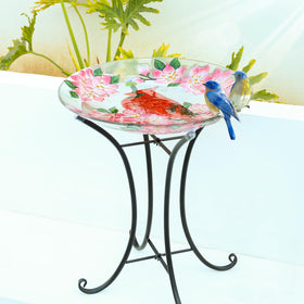 MUMTOP glass cardinal-pattern birdbath highlights a colorful feature for the yard.