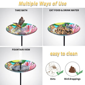 MUMTOP outdoor bird feeder and bath combo invites foraging visits