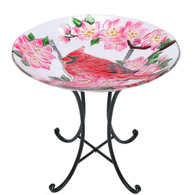 MUMTOP outdoor glass birdbath bowl invites birds and adds charm to your garden.