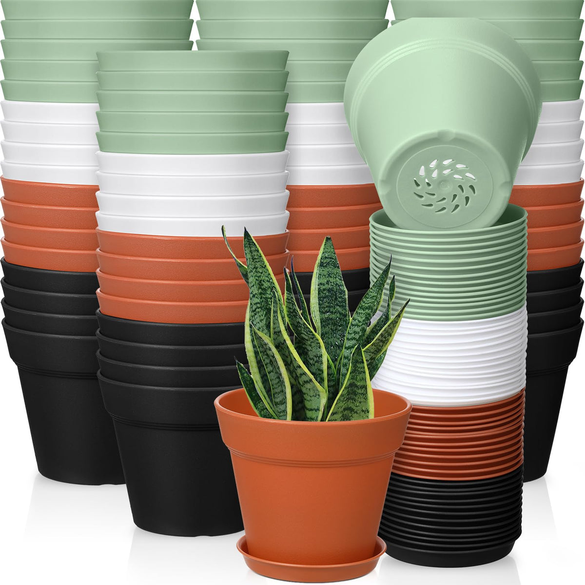 Mumufy 54-pack plant pots with saucers for versatile indoor and outdoor gardening.
