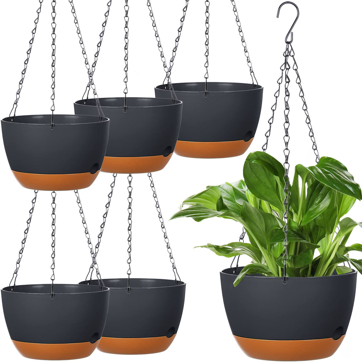 Mumufy six-pack 8-inch hanging planters with drainage holes for healthy roots.