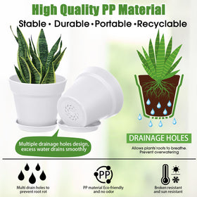 Mumufy pot with drainage holes and saucer for clean water management.