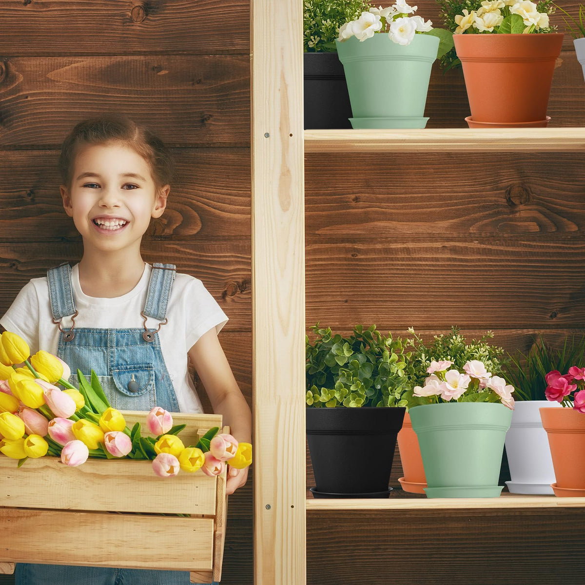 Mumufy pots suitable for indoor and outdoor placement.