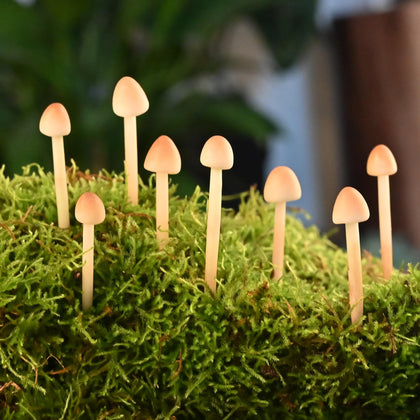 Mumutie 16-pack mini mushrooms for terrariums and fairy gardens, adding charming, lifelike detail.