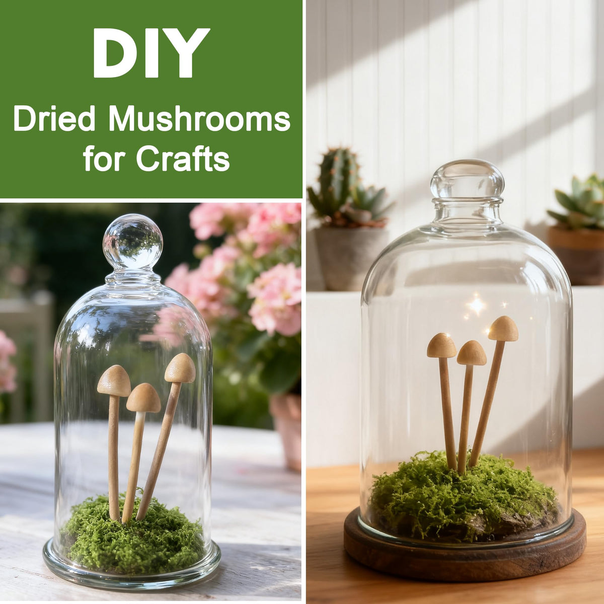 Durable resin mushrooms suitable for shelf displays and gifting.