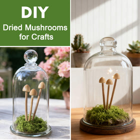 Durable resin mushrooms suitable for shelf displays and gifting.