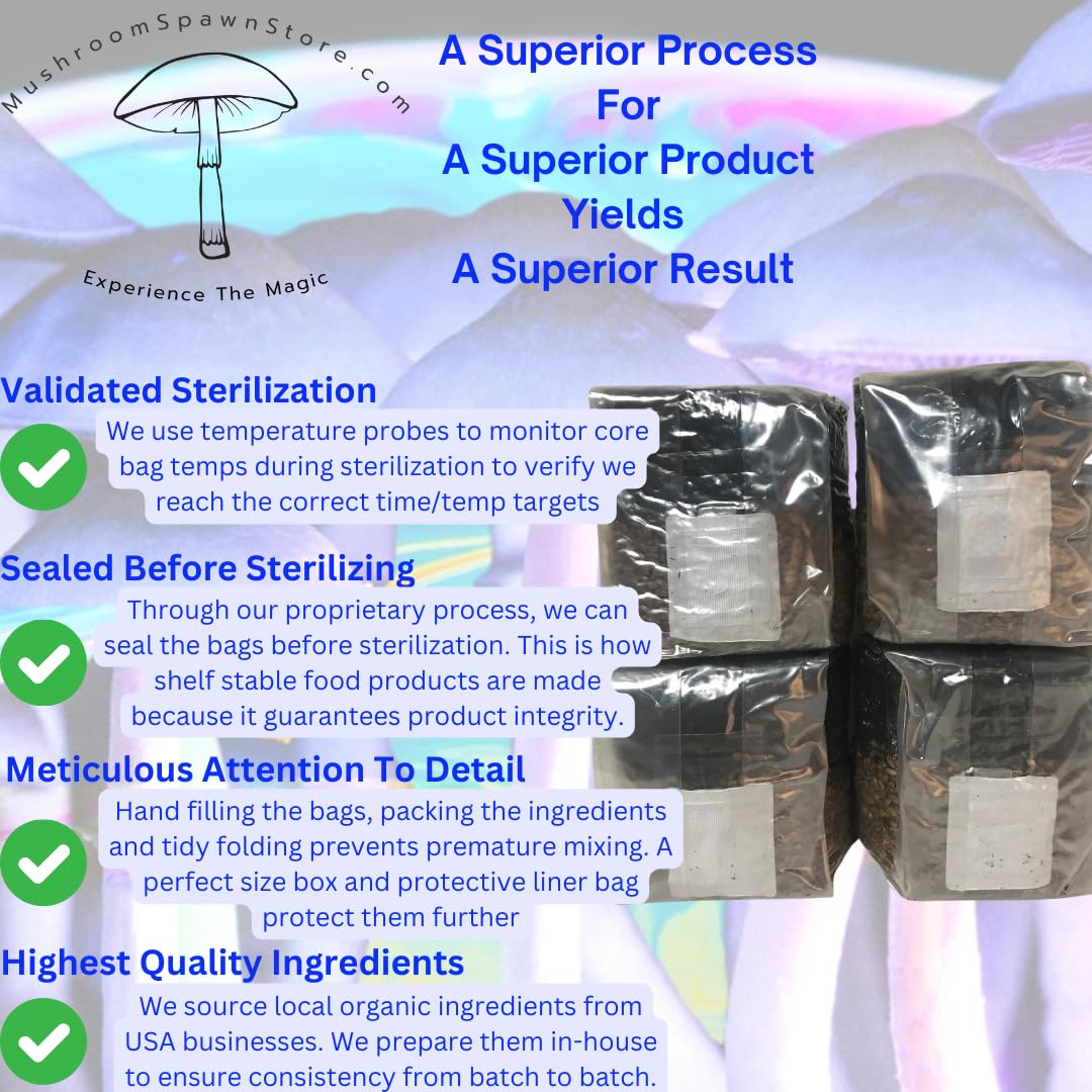 MushroomSpawnStore 4-pack for reliable, home mushroom cultivation.