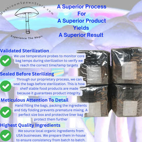 MushroomSpawnStore 4-pack for reliable, home mushroom cultivation.